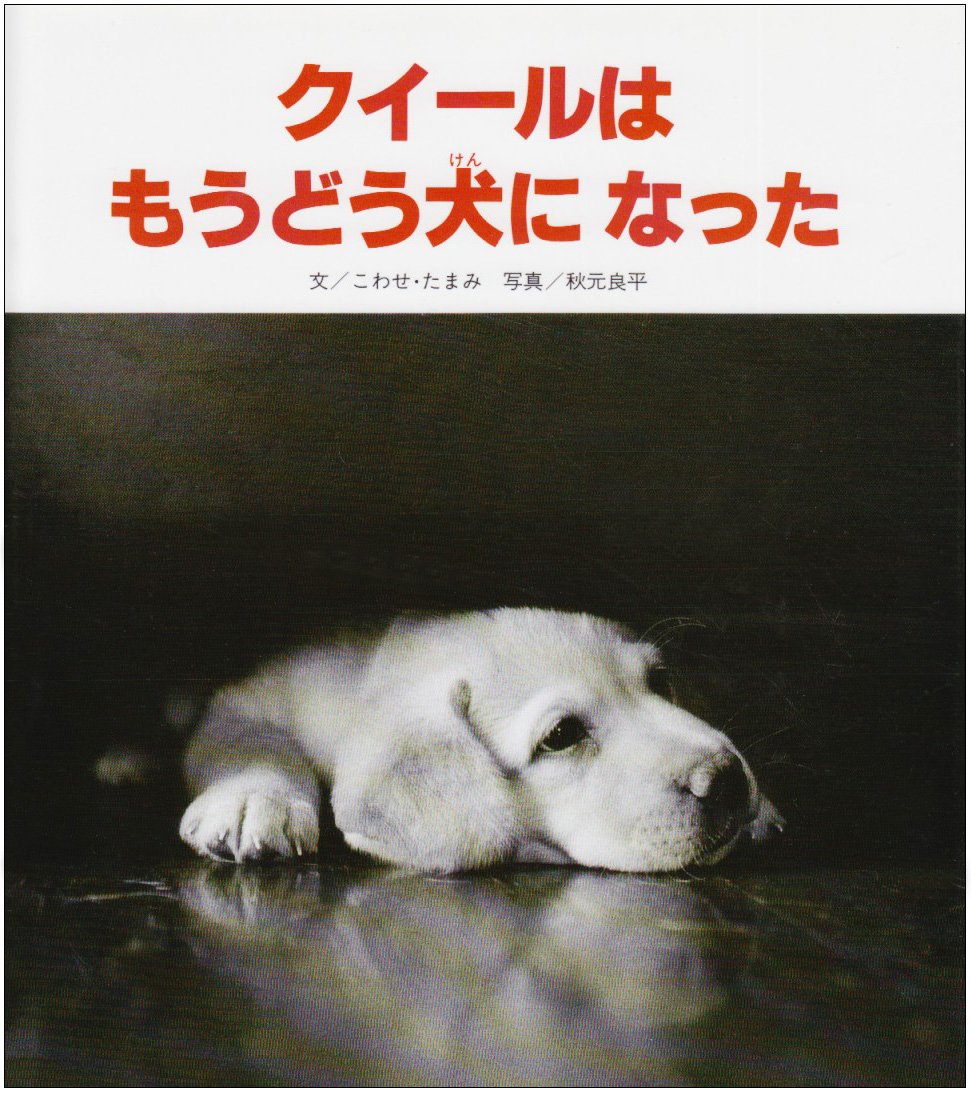 「クイールはもうどう犬になった」の表紙